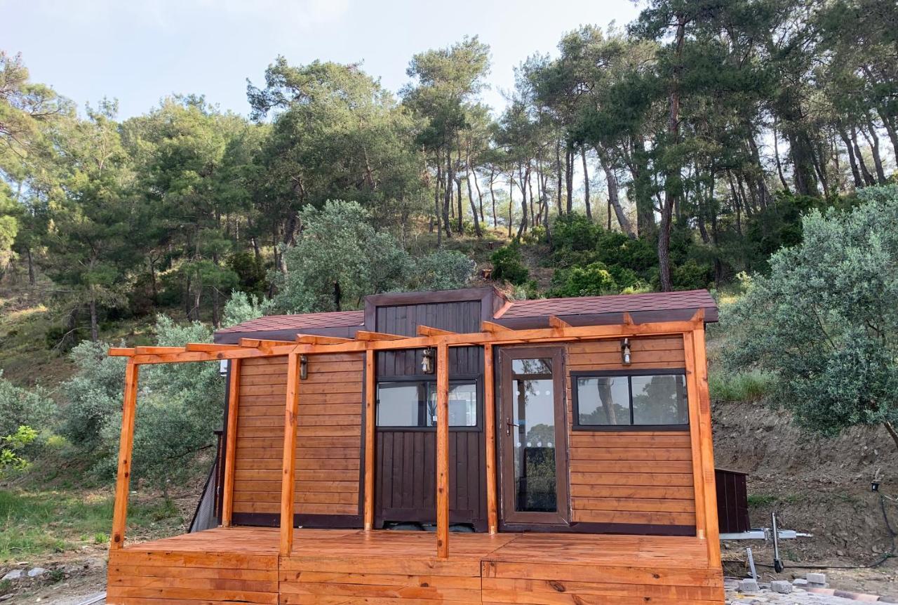 Tiny Mini House Hotel Dalaman Exterior photo