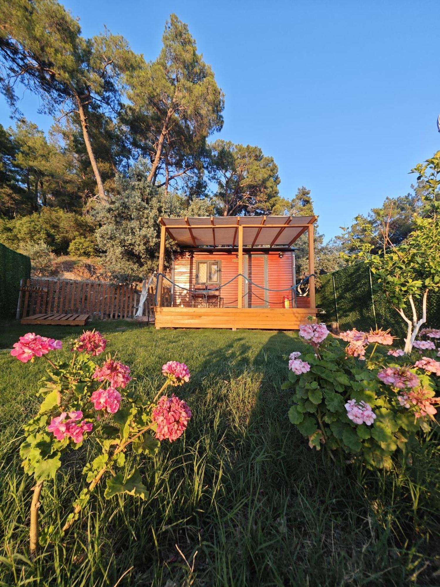 Tiny Mini House Hotel Dalaman Exterior photo